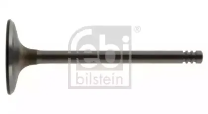 febibilstein-12856