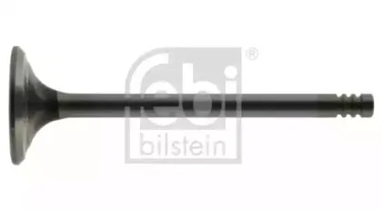 febibilstein-12857