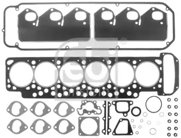 febibilstein-12899