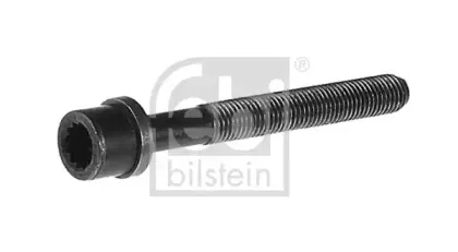 febibilstein-14103