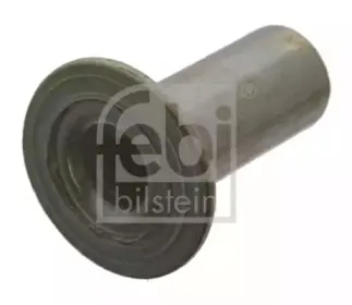 febibilstein-14367