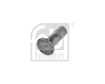 febibilstein-14409