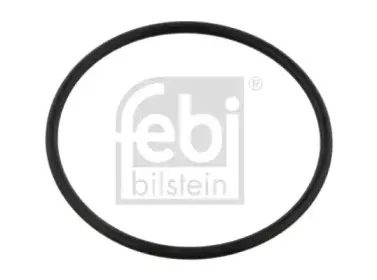 febibilstein-14432