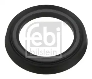 febibilstein-14462