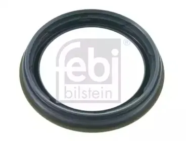 febibilstein-14470