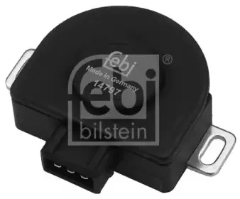 febibilstein-14797