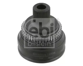 febibilstein-14898