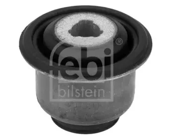 febibilstein-14949