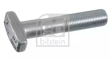 febibilstein-14963
