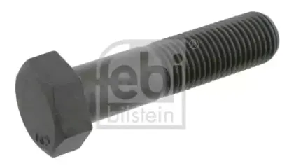 febibilstein-15343