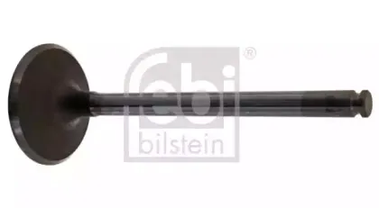 febibilstein-15354