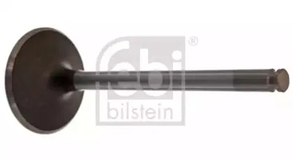 febibilstein-15355