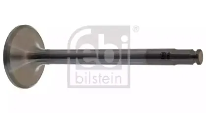 febibilstein-15361