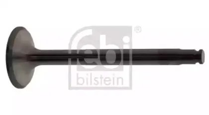 febibilstein-15369