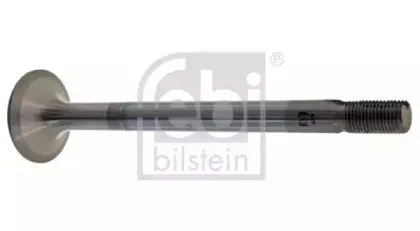 febibilstein-15371