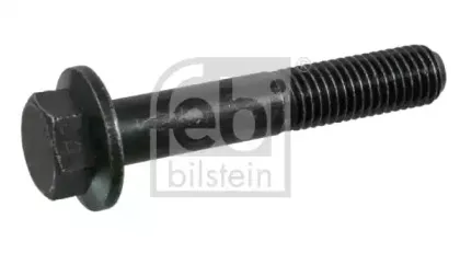 febibilstein-15427