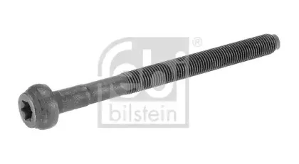 15696 FEBI BILSTEIN Болт головки цилиндра