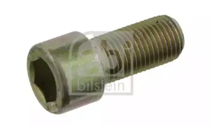 febibilstein-16287
