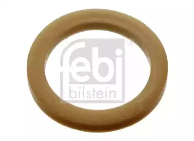 febibilstein-16288