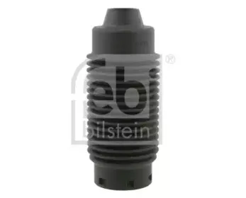 febibilstein-17146