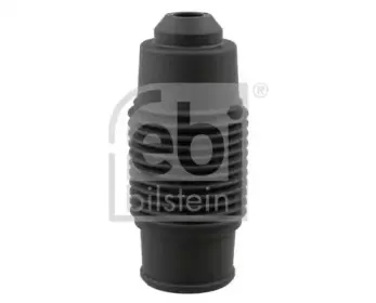 febibilstein-17148