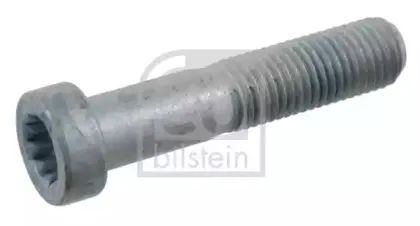 febibilstein-17274