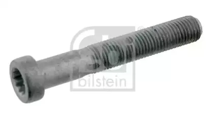 febibilstein-17277