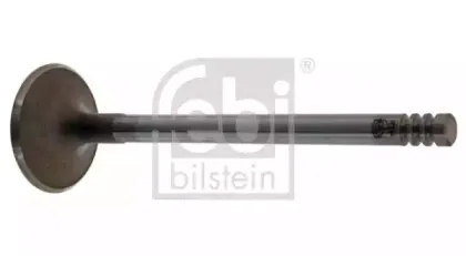 febibilstein-17394