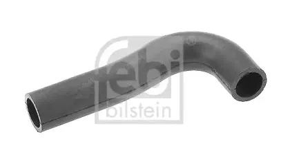 febibilstein-17814