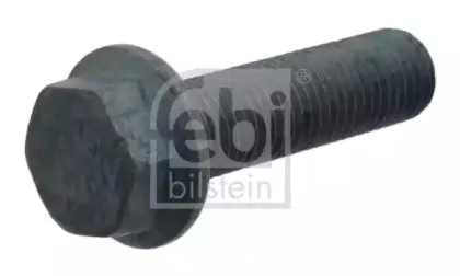 febibilstein-17864