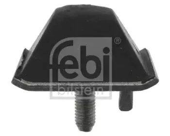 febibilstein-17877