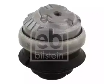 febibilstein-17954
