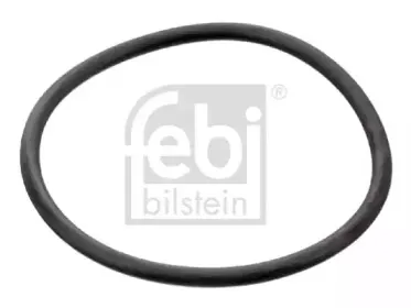 17964 FEBI BILSTEIN Прокладка, термостат