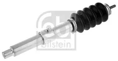 febibilstein-18217