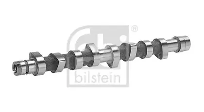febibilstein-18359
