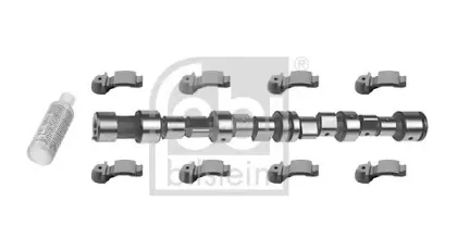 febibilstein-18506