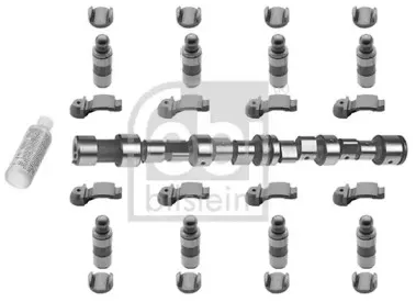 febibilstein-18507