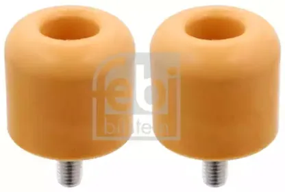 febibilstein-18522
