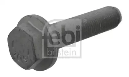 febibilstein-18625
