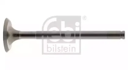 febibilstein-18661