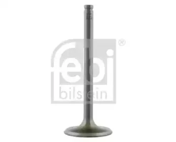 febibilstein-18665