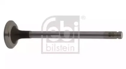 febibilstein-18670