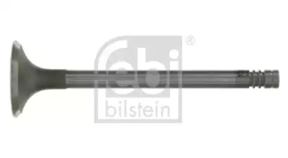 febibilstein-19303