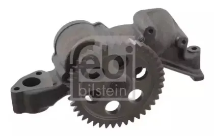 febibilstein-19435