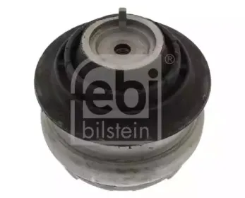 febibilstein-19464