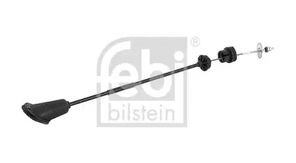febibilstein-19502