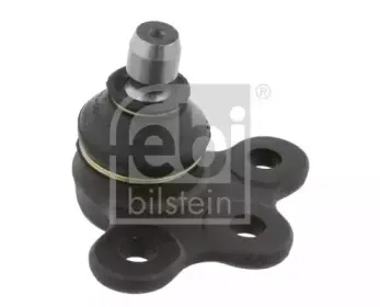 febibilstein-19543