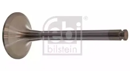 febibilstein-19566