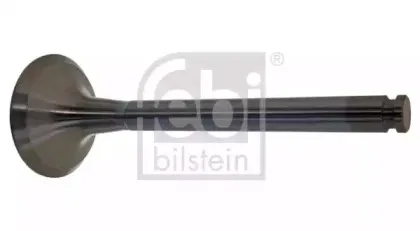 febibilstein-19567