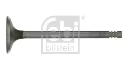 febibilstein-19627